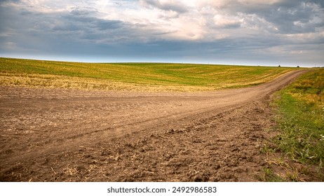 小狐狸直播网址